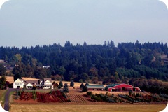 farm-big